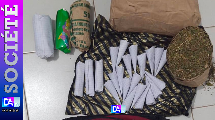 SÉDHIOU – Le potager de la surprise : un militaire découvre 45 sachets de chanvre dans son propre verger SÉDHIOU – Le potager de la surprise : un militaire découvre 45 sachets de chanvre dans son propre verger