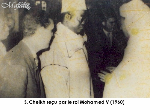 [ Contribution] Appel à l’apaisement entre le Sénégal et le Maroc : Pour l’honneur du sport et au-delà de la coupe, l’essentiel demeure la fraternité