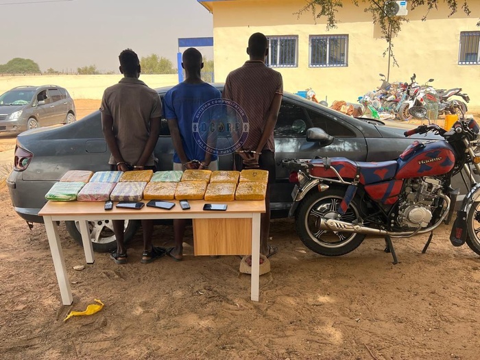 Trafic de drogue à Aéré Lao : La gendarmerie interpelle 3 personnes avec 14 kilos de Chanvre indien Trafic de drogue à Aéré Lao : La gendarmerie interpelle 3 personnes avec 14 kilos de Chanvre indien