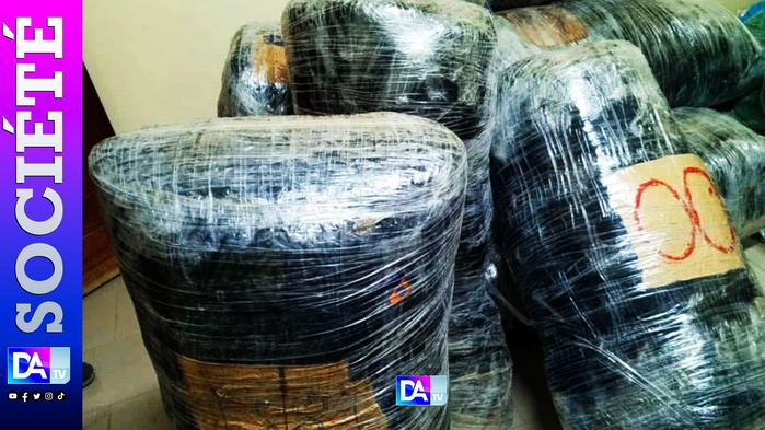 Lutte contre le trafic de stupéfiants : Saisie record de 120 kg de chanvre indien à Mbour Lutte contre le trafic de stupéfiants : Saisie record de 120 kg de chanvre indien à Mbour