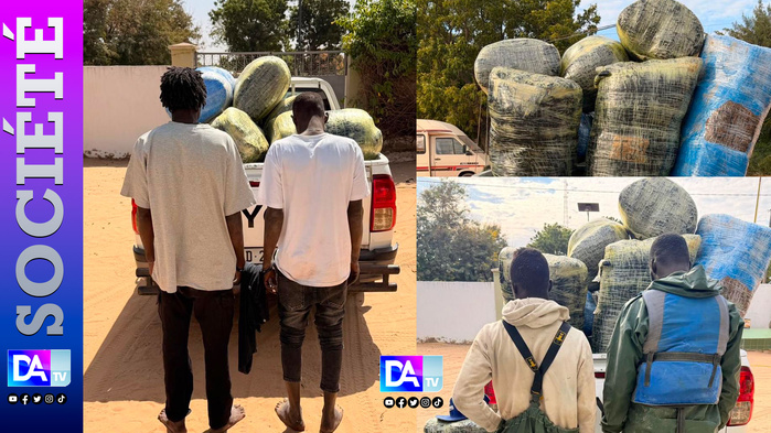 Trafic de drogue : 872 kg de chanvre indien d’une contrevaleur de 60 millions FCFA, saisis dans les îles du Saloum Trafic de drogue : 872 kg de chanvre indien d’une contrevaleur de 60 millions FCFA, saisis dans les îles du Saloum