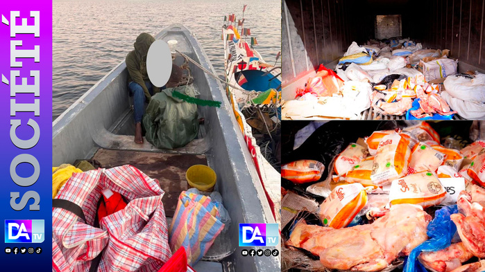 Contrebande maritime : 28 tonnes de cuisses de poulet estimées 57 millions francs CFA interceptés par la douane Contrebande maritime : 28 tonnes de cuisses de poulet estimées 57 millions francs CFA interceptés par la douane