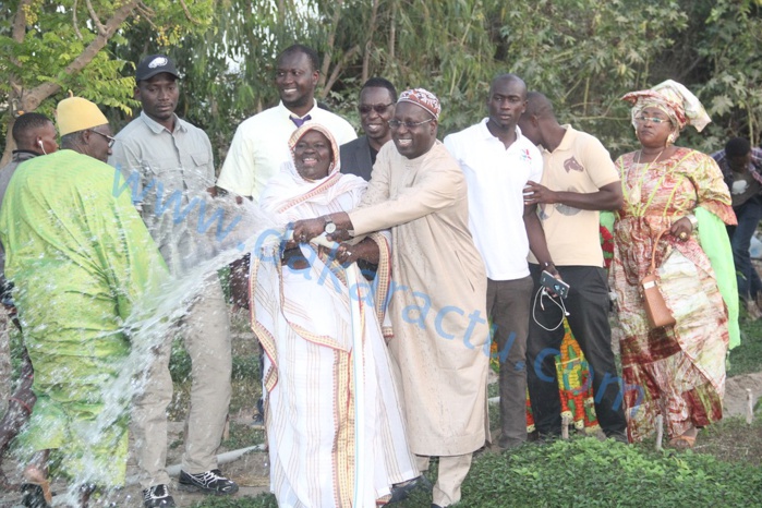 Forêt classée de MBAO : Le DG de l’Artp offre un puits aux Gie de maraîchage (IMAGES) Forêt classée de MBAO : Le DG de l’Artp offre un puits aux Gie de maraîchage (IMAGES)