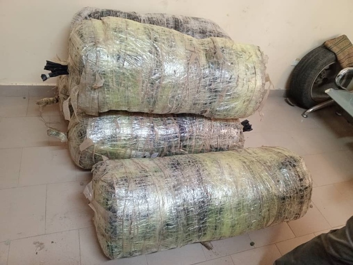 Mbour: La police effectue une saisie de 134 kg de chanvre indien à Ndioukh Fissel Mbour: La police effectue une saisie de 134 kg de chanvre indien à Ndioukh Fissel