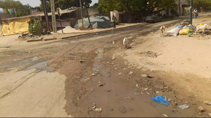 [ Images] Célébration du 4 avril à Thiès : l'état défectueux des routes, une préoccupation majeure 