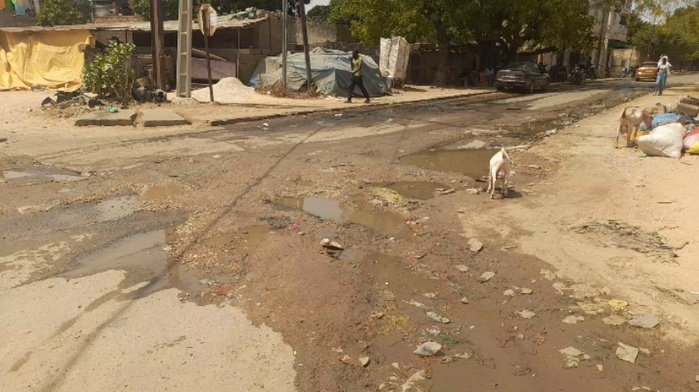 [ Images] Célébration du 4 avril à Thiès : l'état défectueux des routes, une préoccupation majeure 