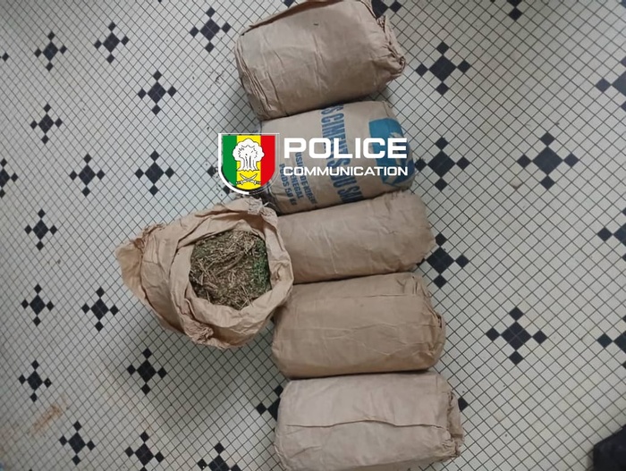 Ziguinchor : saisie de 6 kg de chanvre indien sur l’axe Sindian-Bignona