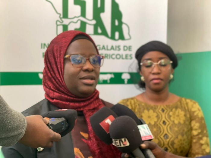 Riz sénégalais : chercheurs, autorités et producteurs réfléchissent aux stratégies face à la chute des prix mondiaux Riz sénégalais : chercheurs, autorités et producteurs réfléchissent aux stratégies face à la chute des prix mondiaux