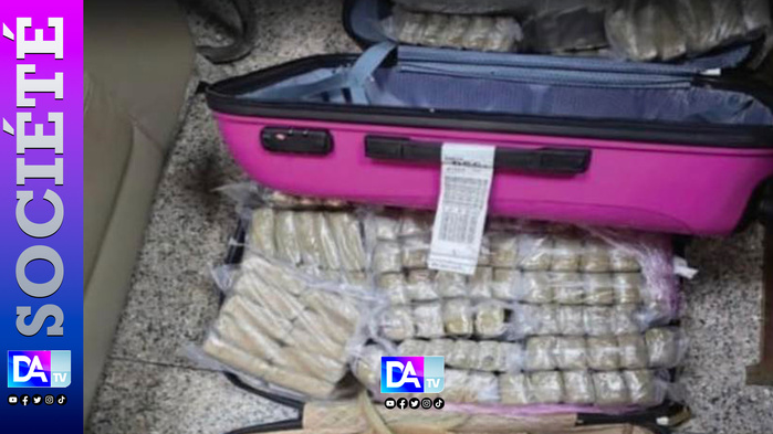 AIBD : 289 plaques de haschich saisies, la mule française et son contact sénégalais tombent au parking AIBD : 289 plaques de haschich saisies, la mule française et son contact sénégalais tombent au parking