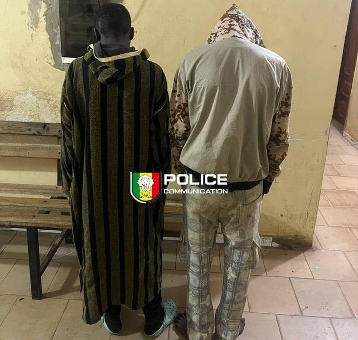 Rufisque : Deux individus arrêtés pour vente de viande impropre à la consommation