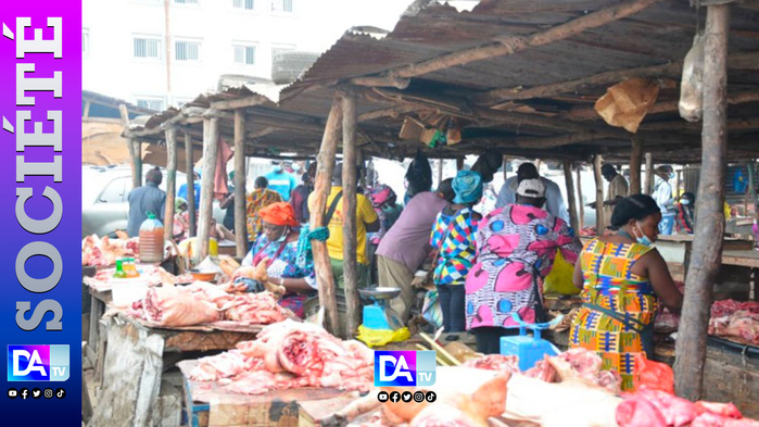 Grand-Yoff : le marché au porc « Bignona » menacé de disparition par un projet foncier… 300 emplois en danger Grand-Yoff : le marché au porc « Bignona » menacé de disparition par un projet foncier… 300 emplois en danger