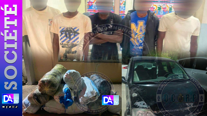 Mbour : plus de 800 kg de chanvre indien saisis, un réseau structuré démantelé Mbour : plus de 800 kg de chanvre indien saisis, un réseau structuré démantelé