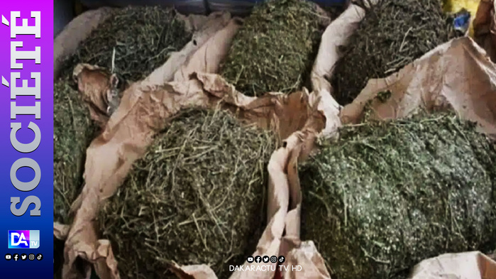 Frontière sénégalo-gambienne : un trafiquant “miné” avec 2 kg de drogue démasqué Frontière sénégalo-gambienne : un trafiquant “miné” avec 2 kg de drogue démasqué