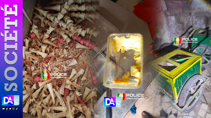 Zac Mbao : une fabrique clandestine de glaces insalubres démantelée, quatre arrestations