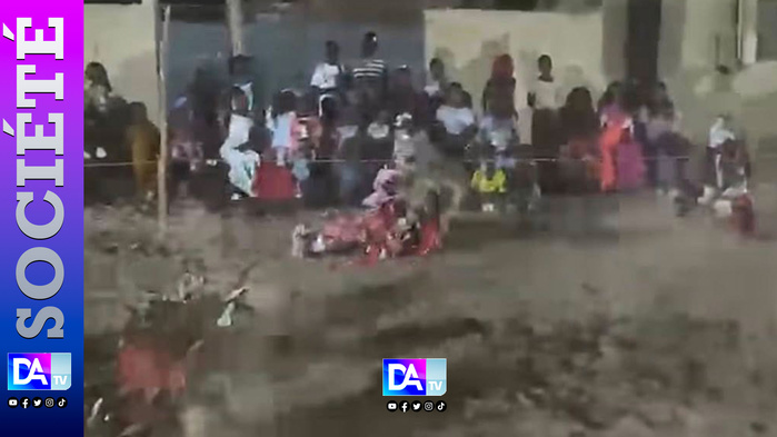 Quand le spectacle vire au drame : Un « Faux lion » exécute une acrobatie, se rate et meurt en se brisant le cou à Dagana
