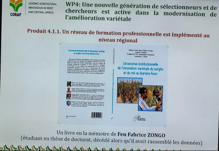 Semences certifiées : L’Afrique de l’Ouest cherche encore son passage du laboratoire au champ Semences certifiées : L’Afrique de l’Ouest cherche encore son passage du laboratoire au champ