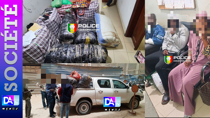 Dakar : 254 kg de chanvre saisis, un réseau entre Thiaroye et Guédiawaye démantelé par l’OCRTIS