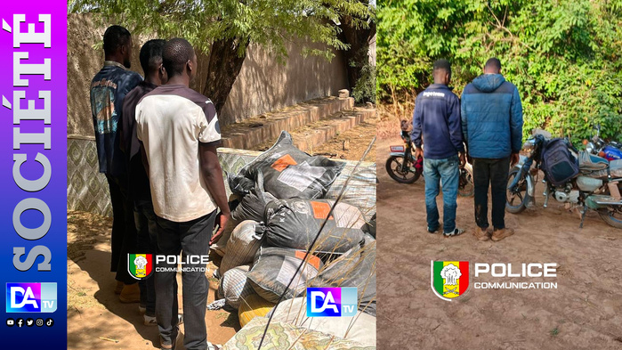 Kidira : 400 kg de cyanure saisis — un trafic toxique destiné à l’orpaillage clandestin démantelé Kidira : 400 kg de cyanure saisis — un trafic toxique destiné à l’orpaillage clandestin démantelé