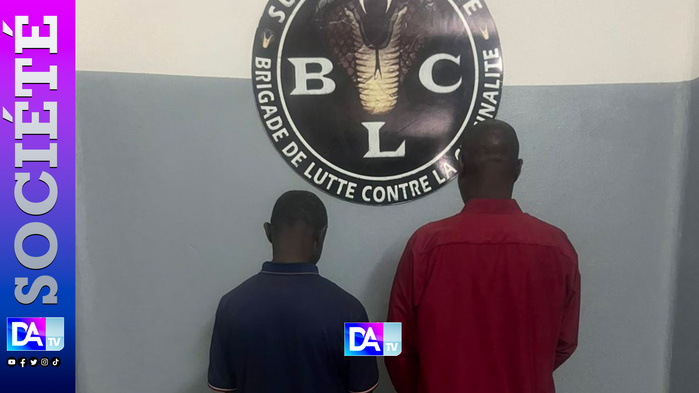 Ils voulaient inonder le marché : deux faussaires arrêtés avec 1,5 million FCFA par la Sûreté urbaine Ils voulaient inonder le marché : deux faussaires arrêtés avec 1,5 million FCFA par la Sûreté urbaine