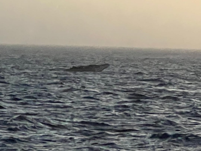 Émigration clandestine : la Marine nationale a secouru 132 migrants au large de Dakar