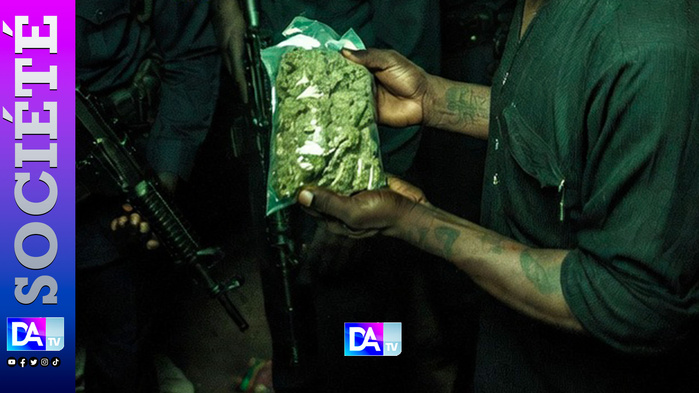 “Je suis fatigué” : à Sicap-Mbao, un dealer surprend la police en se livrant avec sa marchandise “Je suis fatigué” : à Sicap-Mbao, un dealer surprend la police en se livrant avec sa marchandise