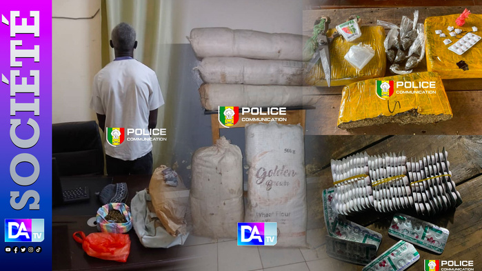 Chanvre indien, Tramadol, fuites et arrestations : l’OCRTIS frappe fort dans plusieurs régions du Sénégal