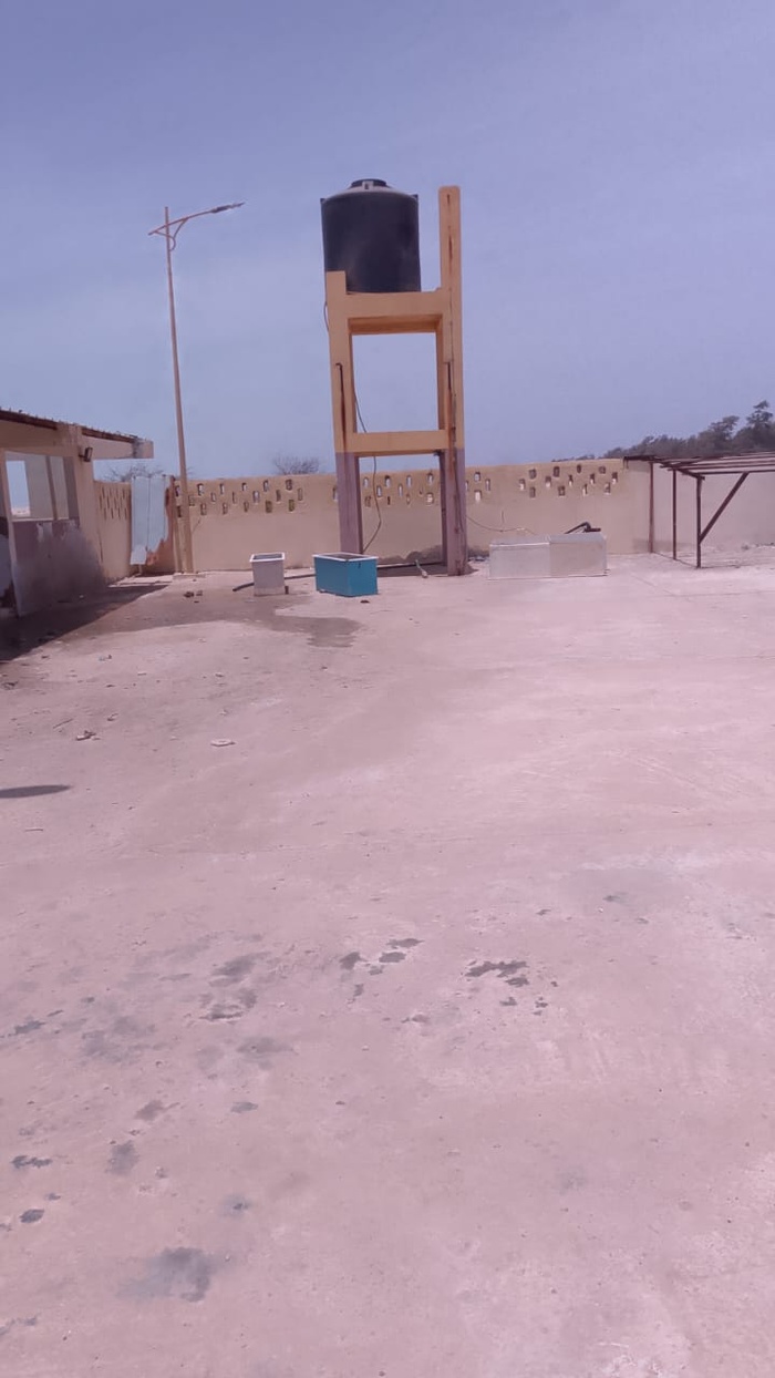 Potou / Niayam : le quai de pêche en difficulté, les acteurs tirent la sonnette d’alarme sur l’état des infrastructures Potou / Niayam : le quai de pêche en difficulté, les acteurs tirent la sonnette d’alarme sur l’état des infrastructures