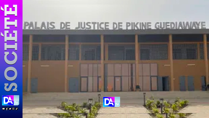 Pikine / Un palais de justice livré à la jungle : des pythons prennent possession du tribunal de Pikine Pikine / Un palais de justice livré à la jungle : des pythons prennent possession du tribunal de Pikine