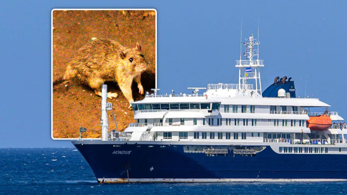 Un risque d’épidémie d’hantavirus? L’OMS se prononce sur le cas du navire au Cap-Vert Un risque d’épidémie d’hantavirus? L’OMS se prononce sur le cas du navire au Cap-Vert