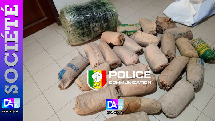 Thiaroye-sur-Mer : une cargaison de 41 kg de chanvre interceptée après un débarquement nocturne Thiaroye-sur-Mer : une cargaison de 41 kg de chanvre interceptée après un débarquement nocturne