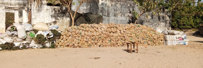 Casamance : L’Armée frappe fort contre les réseaux de chanvre indien