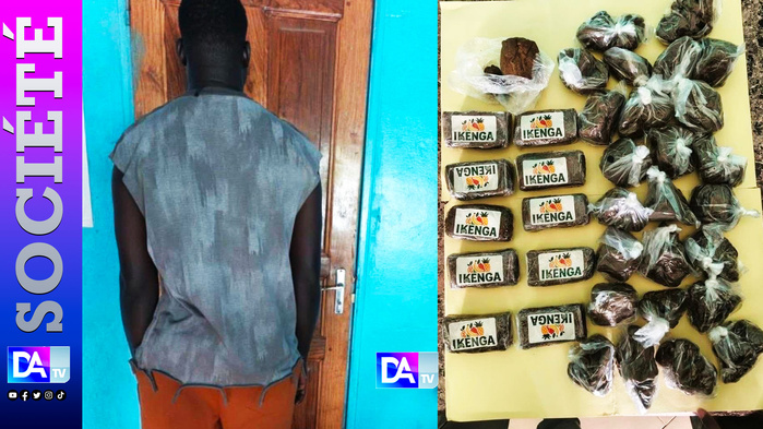 Lutte contre le trafic international de drogues: La Brigade commerciale des Douanes de Karang met la main sur 03,5 Kg de haschich