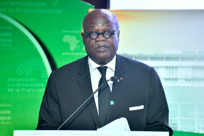 Assemblée parlementaire de la Francophonie à Dakar : Hilarion Etong plaide pour une sécurité collective pensée par les Africains Assemblée parlementaire de la Francophonie à Dakar : Hilarion Etong plaide pour une sécurité collective pensée par les Africains