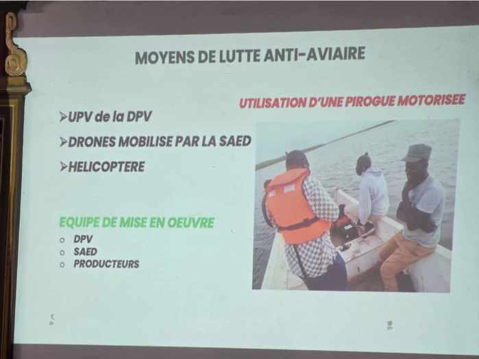 Saint-Louis : Les autorités préparent la campagne de lutte anti-aviaire 2026 dans la vallée du fleuve Sénégal Saint-Louis : Les autorités préparent la campagne de lutte anti-aviaire 2026 dans la vallée du fleuve Sénégal