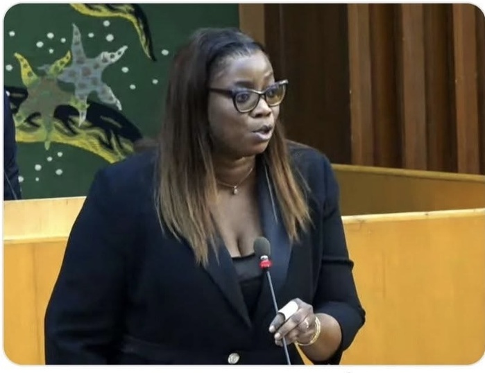 « Quand les institutions sont affaiblies pour servir un camp, c'est la nation tout entière que l'on met en danger » (Yéya Diallo) « Quand les institutions sont affaiblies pour servir un camp, c'est la nation tout entière que l'on met en danger » (Yéya Diallo)