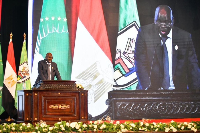 L'Université du Caire célèbre l'Afrique : Le Sénégal à l'honneur, représenté par son député Mbaye Dione