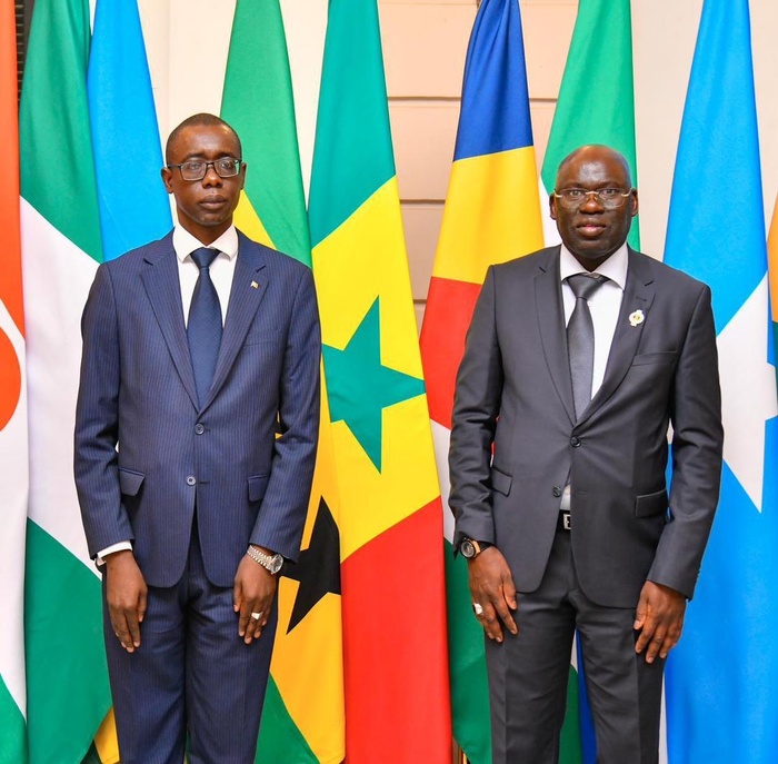 L'Université du Caire célèbre l'Afrique : Le Sénégal à l'honneur, représenté par son député Mbaye Dione