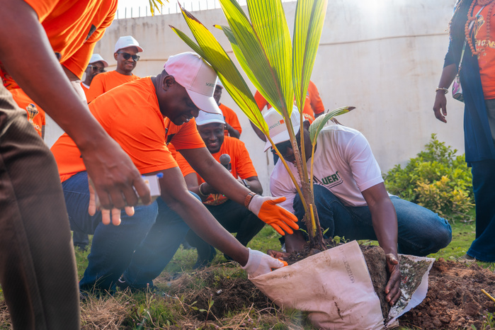 Environnement: Sonatel lance son « Mois Vert 2026 » à Rufisque avec 500 arbres plantés