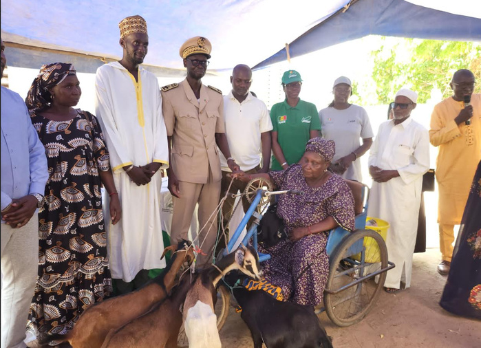 Lutte contre la pauvreté à Kolda : Le PADAER II remet 960 ruminants aux couches vulnérables et aux groupements de femmes… Lutte contre la pauvreté à Kolda : Le PADAER II remet 960 ruminants aux couches vulnérables et aux groupements de femmes…