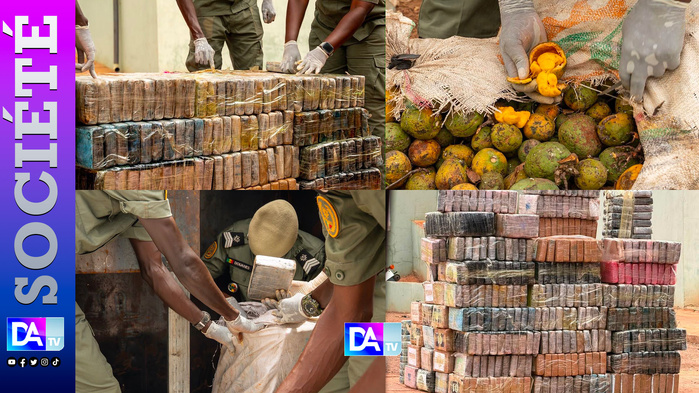 Trafic de drogue : La Brigade des Douanes de Koumpentoum saisit 970,6 kg de cocaïne pure évalués à 58 milliards CFA Trafic de drogue : La Brigade des Douanes de Koumpentoum saisit 970,6 kg de cocaïne pure évalués à 58 milliards CFA