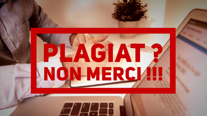 Soupçons de plagiat dans un projet de développement : Des sénégalais établis en France réclament des clarifications aux autorités