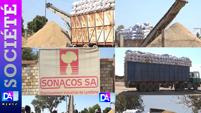 Urgence à la Sonacos : des usines à bout de souffle, 380 000 tonnes de graines menacées Urgence à la Sonacos : des usines à bout de souffle, 380 000 tonnes de graines menacées