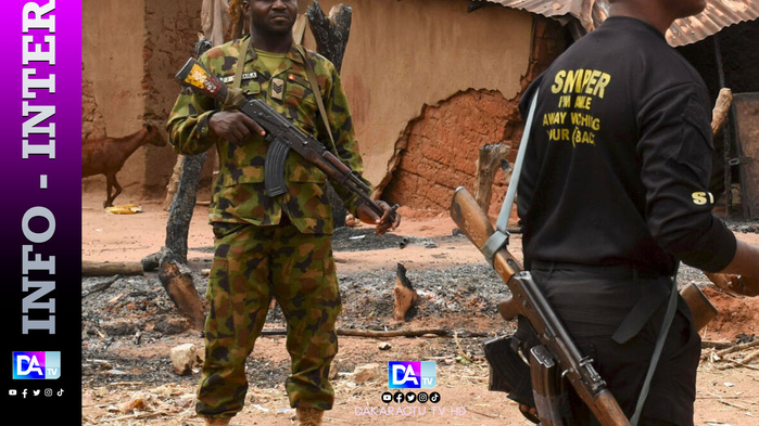 Nigeria: des hommes armés tuent au moins neuf fermiers dans le Nord-Ouest (rapport et source locale)