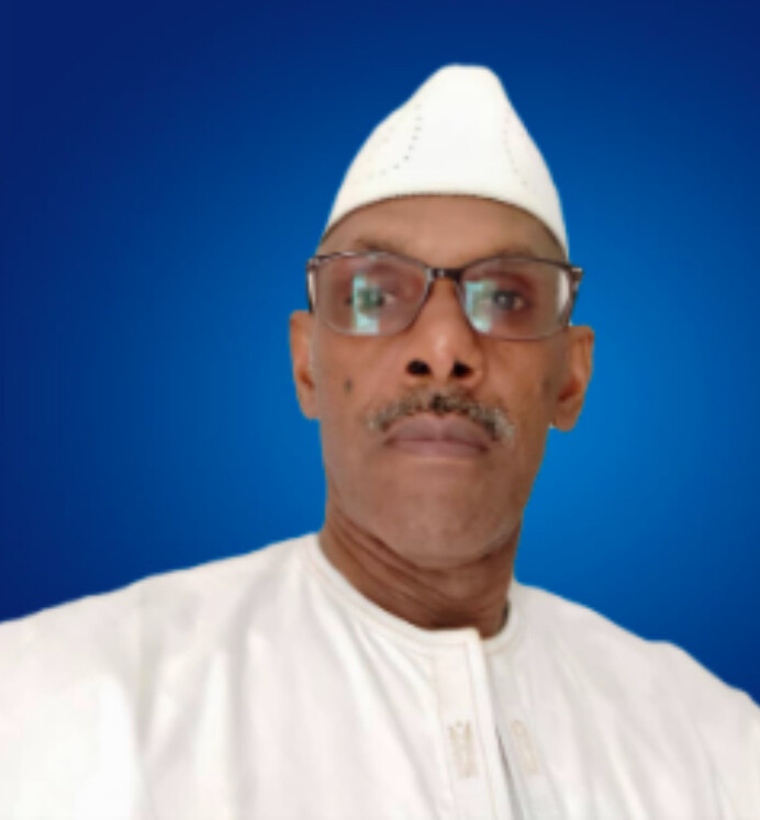 [ Contribution] Créer un parti autour du Président Bassirou Diomaye Faye : une nécessité politique pour la stabilité institutionnelle ?