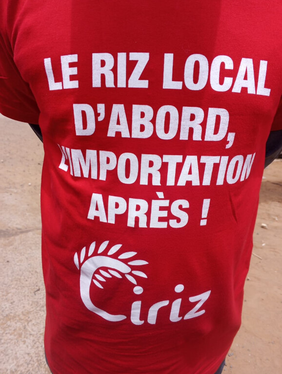 Saint-Louis : Mévente dans la filière riz, les producteurs de la vallée réclament le départ du ministre Serigne Gueye Diop