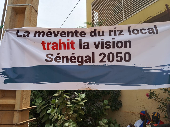 Saint-Louis : Mévente dans la filière riz, les producteurs de la vallée réclament le départ du ministre Serigne Gueye Diop Saint-Louis : Mévente dans la filière riz, les producteurs de la vallée réclament le départ du ministre Serigne Gueye Diop
