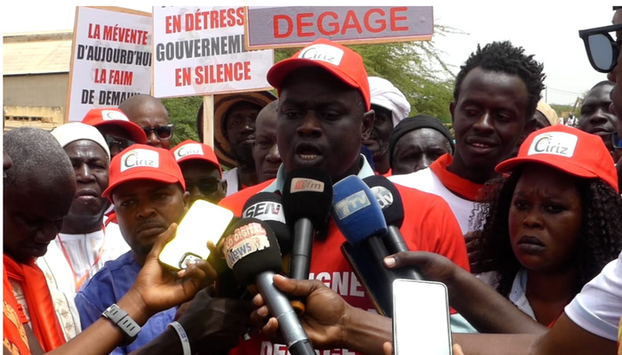 Saint-Louis : Mévente dans la filière riz, les producteurs de la vallée réclament le départ du ministre Serigne Gueye Diop