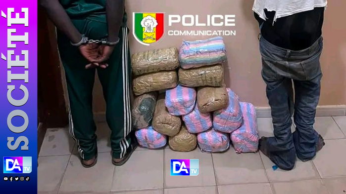 Kaolack : Démantèlement d'un réseau de trafic de drogue par la BRS et saisie de 15 kg de chanvre indien