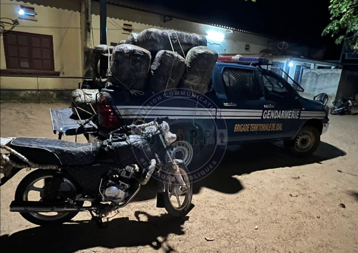 Lutte contre le trafic de drogue : 360 Kg de chanvre indien saisis à Joal
