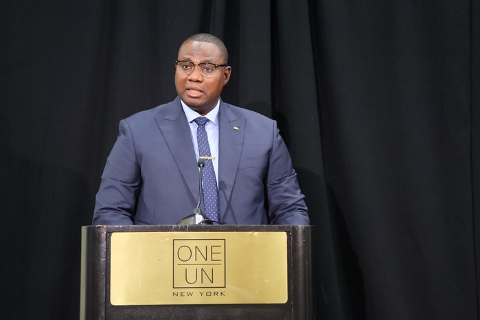New York / localisation des ODD : Moussa Bala Fofana plaide pour des territoires « compétitifs, résilients et inclusifs » New York / localisation des ODD : Moussa Bala Fofana plaide pour des territoires « compétitifs, résilients et inclusifs »